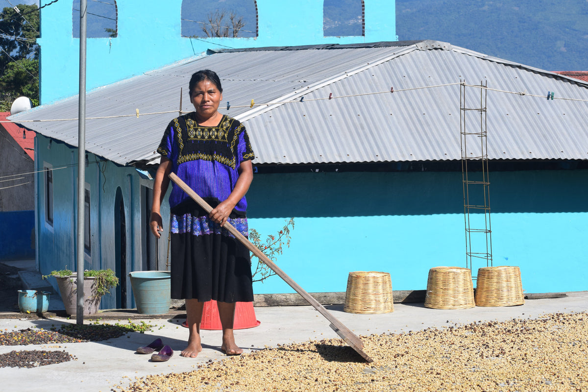 Organic Mexican Chiapas - Fair Trade