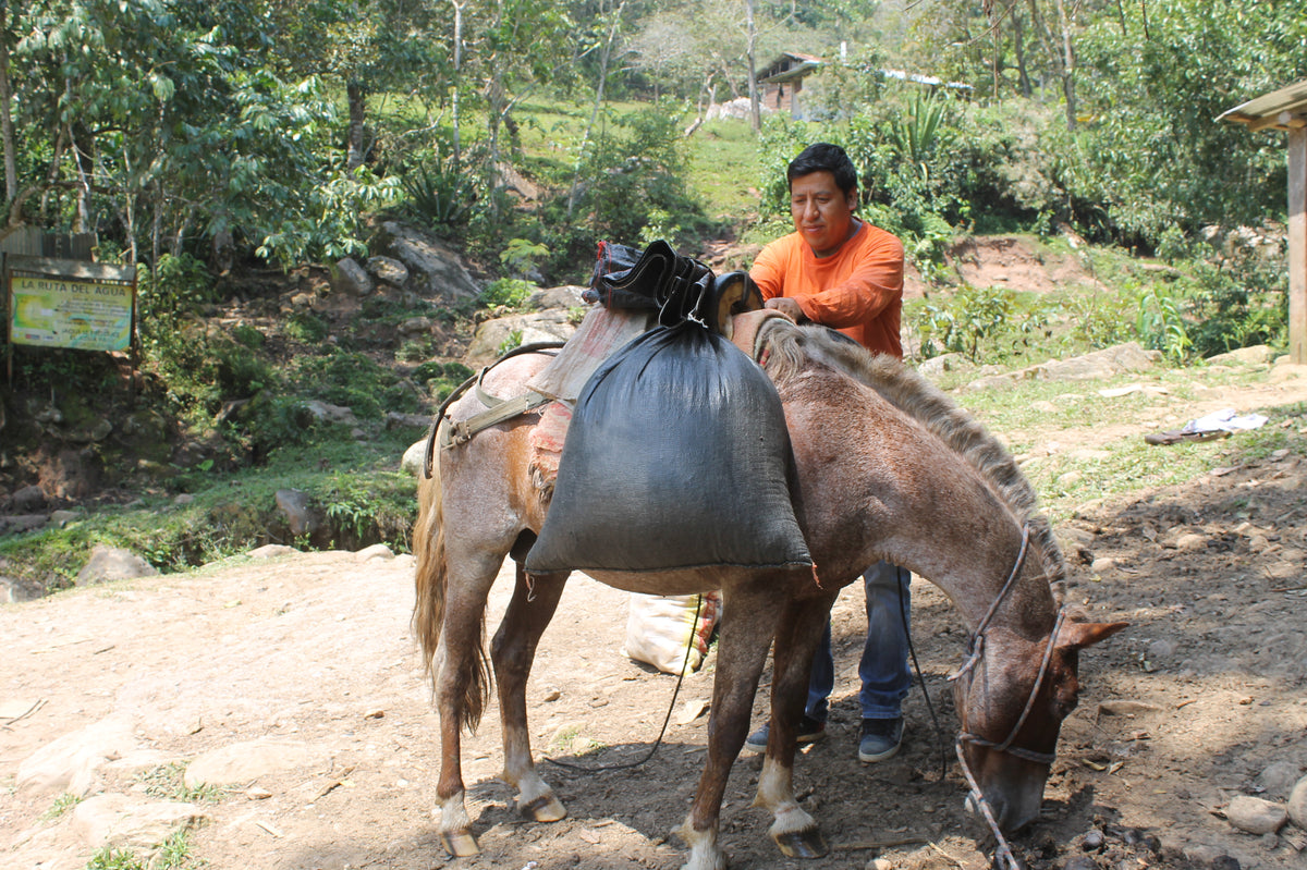 Organic Peru La Florida - Fair Trade
