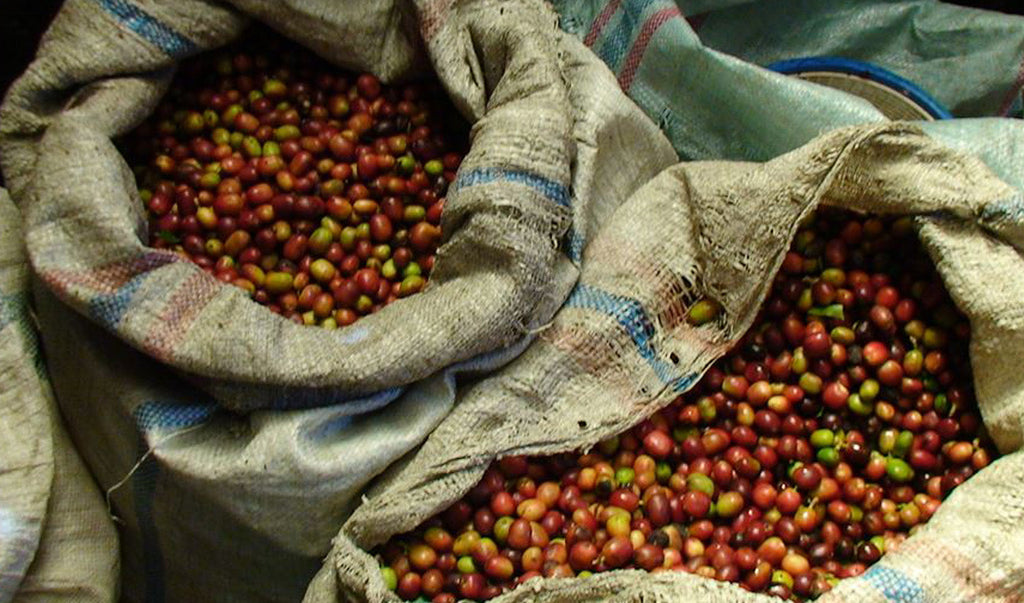 Sumatra Mandheling