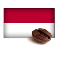 Sulawesi Kalossi